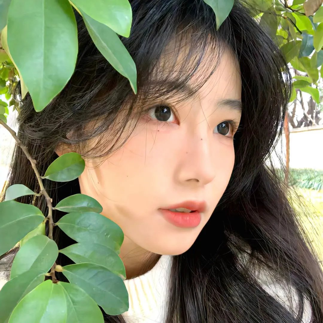 大漠雄心