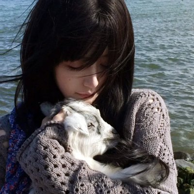 萌犬好声音